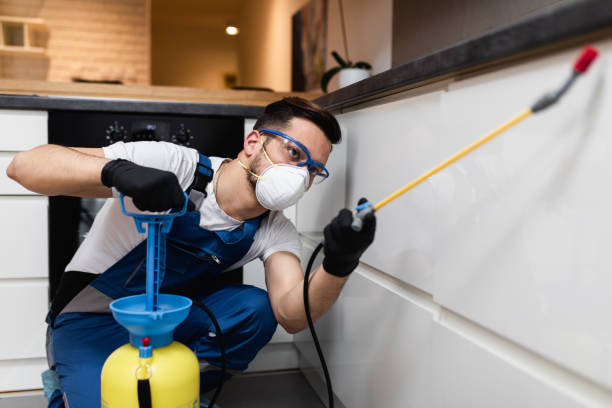 Best Wildlife Control Services  in South Dennis, NJ