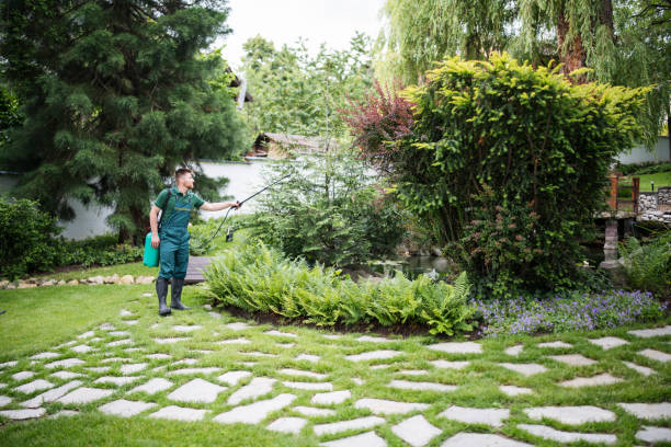 Best Mosquito Control Services  in South Dennis, NJ