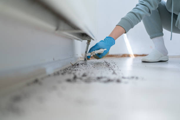 Wildlife Control Services in South Dennis, NJ