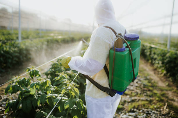 Best Wildlife Control Services  in South Dennis, NJ